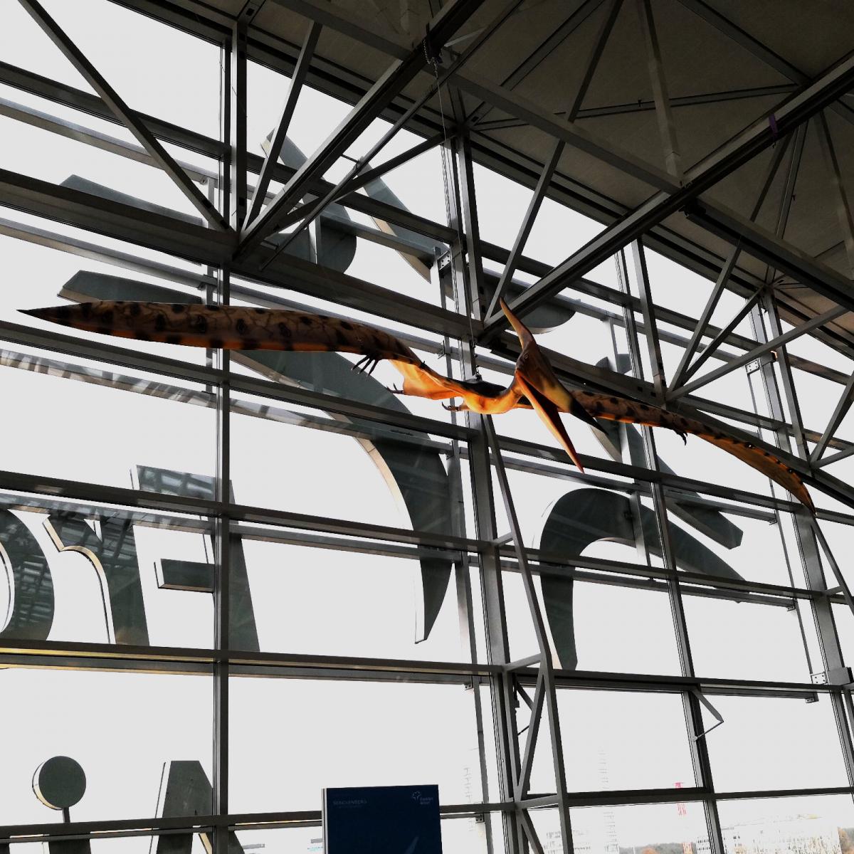 Fraport Day 1